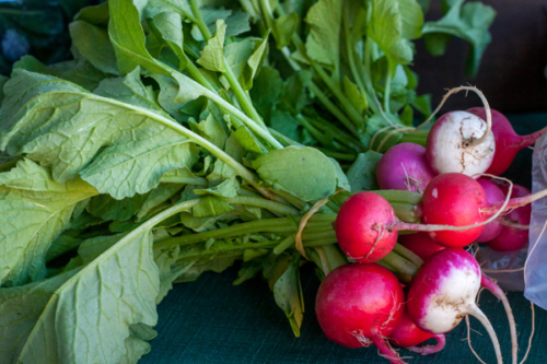 Radishes