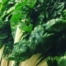 Silverbeet