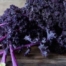 Kale purple curly