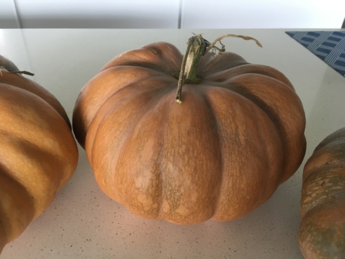 French Pumpkin